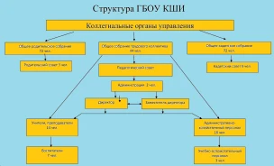 Структура и органы управления'